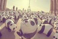 Фотография Супониной Ольги