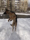 Уляна Лісна фотография #20 (источник - https://vk.com/id75306746)