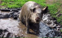 Фотография Гарабцова Ильяса