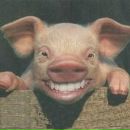 Марішка Руцька фотография #27 (источник - https://vk.com/id157698249)