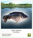 Андрій Кирилич фотография #26 (источник - https://vk.com/id72602419)