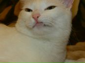 Фотография Марьенко Нины