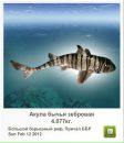 Андрій Орищак фотография #30 (источник - https://vk.com/id43615340)