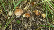 Фотография Хатановой Анны