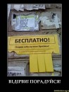 Андрій Бабій фотография #49 (источник - https://vk.com/id41813544)