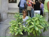 Фотография Петехиной Насти