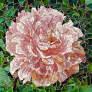 Фотография Серовой Аллы