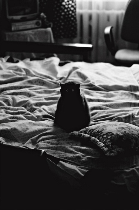 Миша Царьков фотография #19