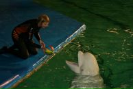 Фотография Романовой Юли