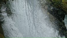 Фотография Замораева Александра