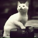 Фотография Орехова Михаила