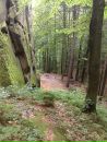 Валінтін Балан фотография #34 (источник - https://vk.com/id136283608)