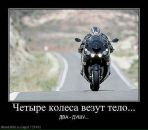 Григорий Павлов фотография #34 (источник - https://vk.com/id2286985)