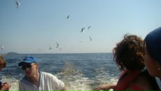 Фотография Муратова Михаила