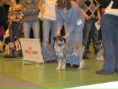 Фотография Федоровой Татьяны