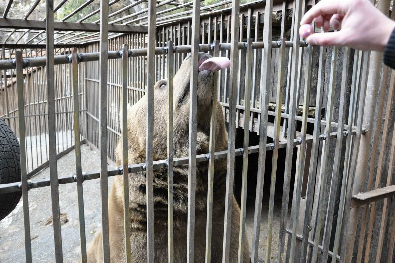 Сергей Савчук фотография #36