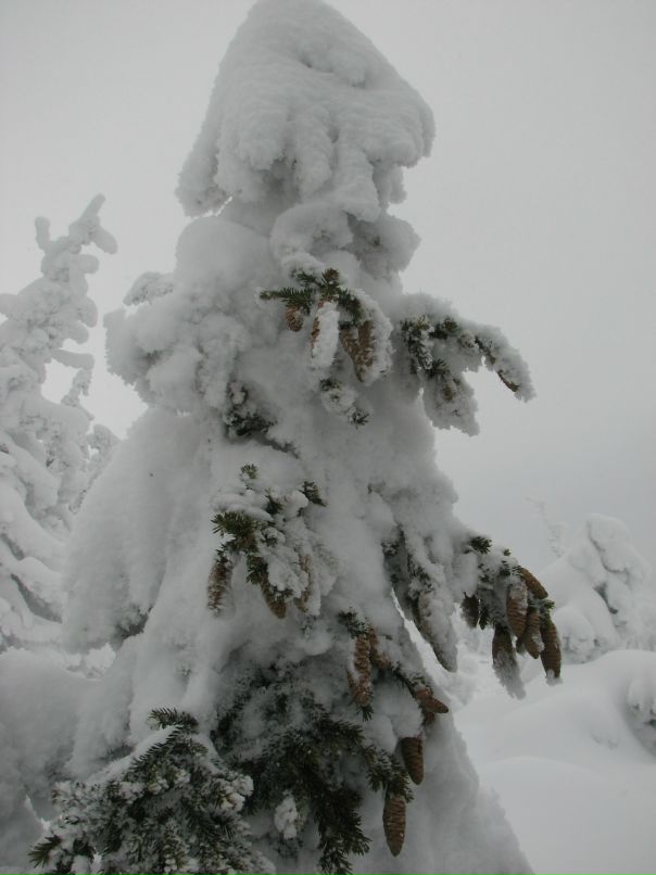 Антон Городилов фотография #39