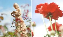 Фотография Антонов Владимир