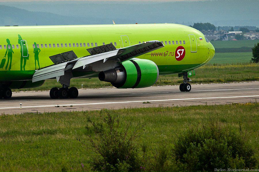 Кот Бегемот фотография #31