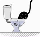 Фотография Карсаковой Екатерины