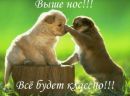 Таня Гічун фотография #3 (источник - https://vk.com/id170459400)