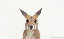 Фотография Старшова Дмитрия