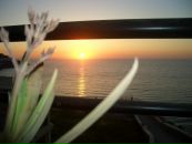 Deniz Kemal фотография #3 (источник - https://vk.com/id108247581)