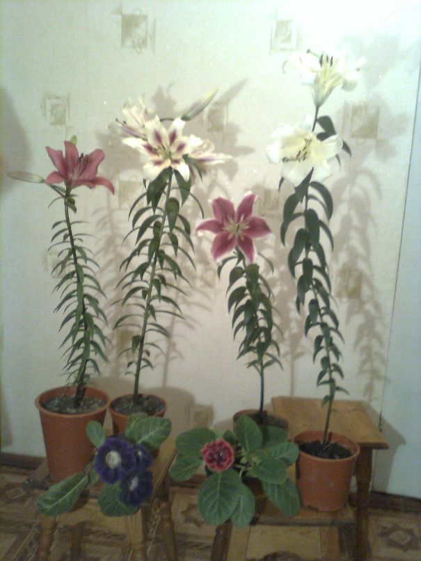 Игорь Ситников фотография #35