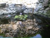 Іра Левчук фотография #42 (источник - https://vk.com/id48205986)