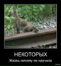 Олексій Маніла фотография #39 (источник - https://vk.com/id14696735)
