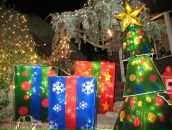 Анна Синицына фотография #41 (источник - https://vk.com/id6665767)