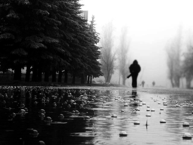 Артём Сережкин фотография #20