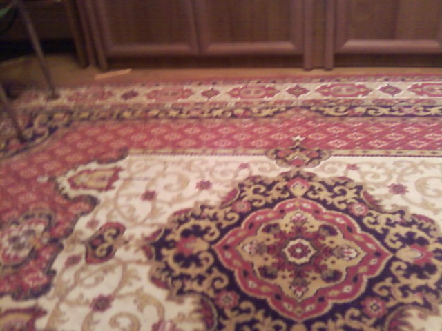 Настя Бугара фотография #11