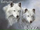 Мирослав Іваночко фотография #1