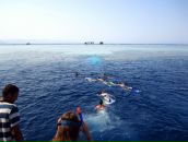 Фотография Сафиной Маргариты