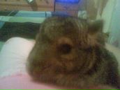 Аліна Музиченко фотография #2 (источник - https://vk.com/id120353449)