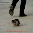 Фотография Антиповой Натальи