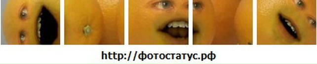 Костя Ревва фотография #38 (источник - https://vk.com/id18167947)