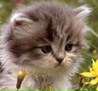 Іруся Гаврилюк фотография #9 (источник - https://vk.com/id30687521)