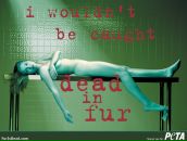 Аліна Прекрасна фотография #49 (источник - https://vk.com/id129707248)