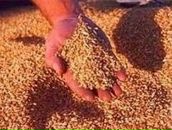 Фотография Дейнеко Романа