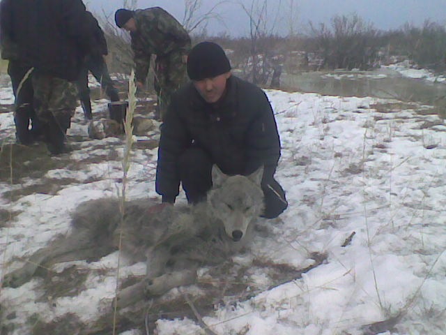 Аяс Иргит фотография #4