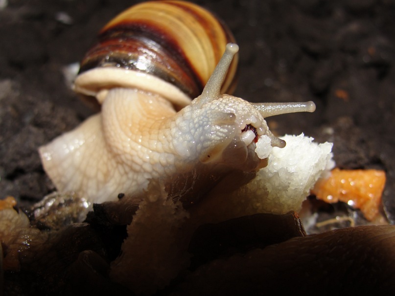 Александр Иванов фотография #37