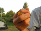 Іван Комарницький фотография #49 (источник - https://vk.com/id14824034)