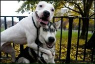 Killkill Killkil фотография #2 (источник - https://vk.com/id639731)