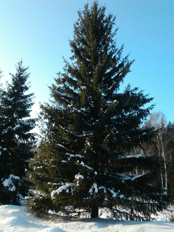 Екатерина Платова фотография #44