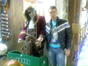 Фотография  