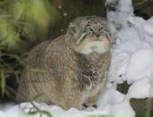 Фотография Воробьёвой Анастасии