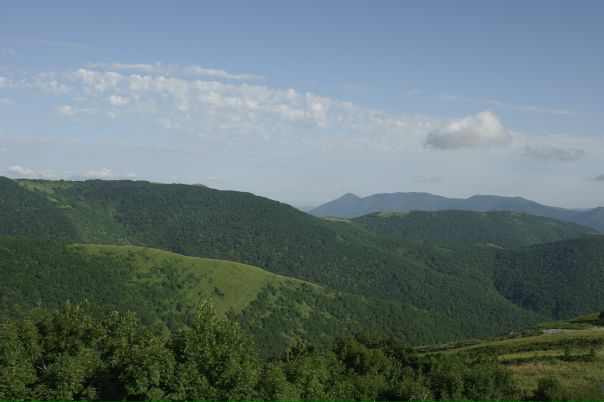 Сергей Гомов фото №45