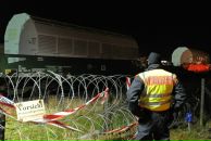 Даша Урман фотография #6 (источник - https://vk.com/id22663)